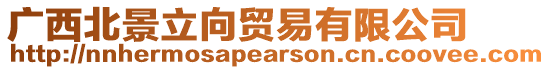 廣西北景立向貿易有限公司