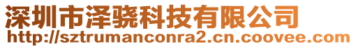 深圳市澤驍科技有限公司
