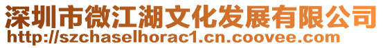 深圳市微江湖文化發展有限公司