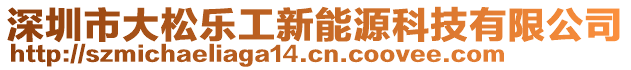 深圳市大松樂工新能源科技有限公司