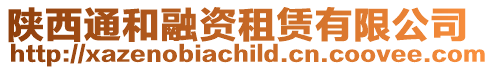 陜西通和融資租賃有限公司