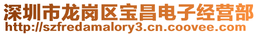 深圳市龍崗區(qū)寶昌電子經(jīng)營(yíng)部