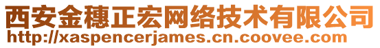 西安金穗正宏網(wǎng)絡(luò)技術(shù)有限公司