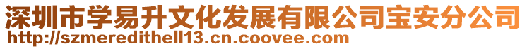 深圳市學易升文化發展有限公司寶安分公司