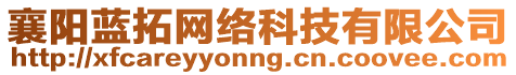 襄陽(yáng)藍(lán)拓網(wǎng)絡(luò)科技有限公司