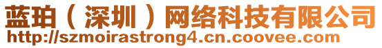 藍(lán)珀（深圳）網(wǎng)絡(luò)科技有限公司