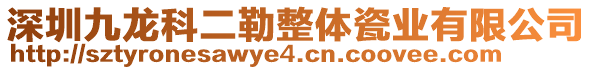 深圳九龍科二勒整體瓷業有限公司