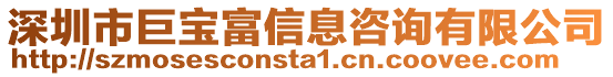 深圳市巨寶富信息咨詢有限公司