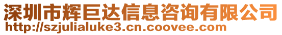 深圳市輝巨達信息咨詢有限公司