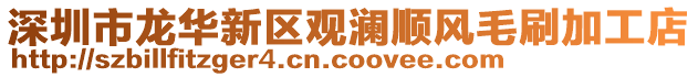 深圳市龍華新區(qū)觀瀾順風(fēng)毛刷加工店