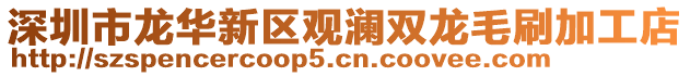 深圳市龍華新區觀瀾雙龍毛刷加工店