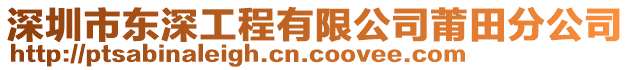 深圳市東深工程有限公司莆田分公司