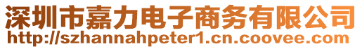 深圳市嘉力電子商務(wù)有限公司