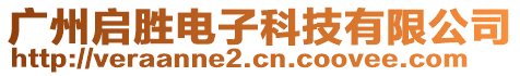 廣州啟勝電子科技有限公司