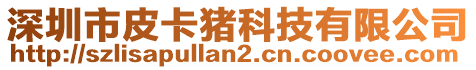 深圳市皮卡豬科技有限公司