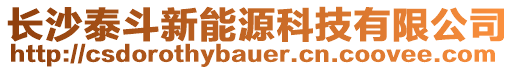 長沙泰斗新能源科技有限公司