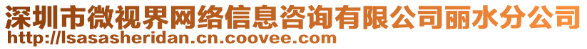 深圳市微視界網(wǎng)絡(luò)信息咨詢有限公司麗水分公司