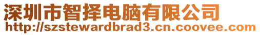 深圳市智擇電腦有限公司