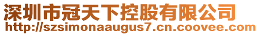 深圳市冠天下控股有限公司