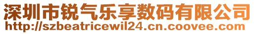 深圳市銳氣樂(lè)享數(shù)碼有限公司