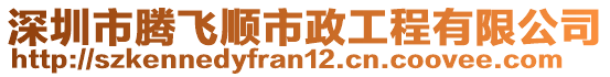 深圳市騰飛順市政工程有限公司