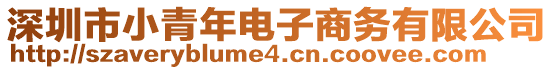 深圳市小青年電子商務(wù)有限公司