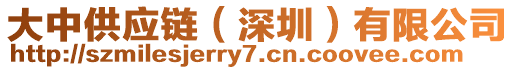 大中供應(yīng)鏈（深圳）有限公司