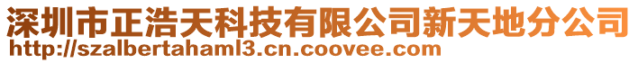 深圳市正浩天科技有限公司新天地分公司