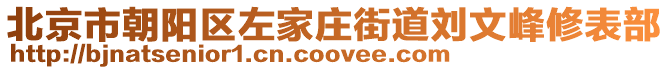 北京市朝陽區(qū)左家莊街道劉文峰修表部