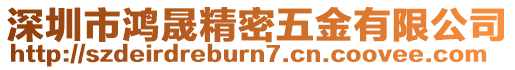 深圳市鴻晟精密五金有限公司