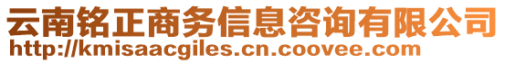 云南銘正商務信息咨詢有限公司