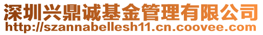 深圳興鼎誠基金管理有限公司