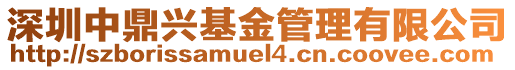 深圳中鼎興基金管理有限公司