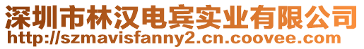 深圳市林漢電賓實(shí)業(yè)有限公司