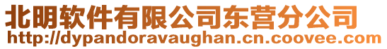 北明軟件有限公司東營分公司
