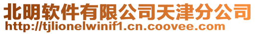 北明軟件有限公司天津分公司