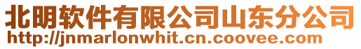 北明軟件有限公司山東分公司