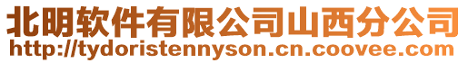 北明軟件有限公司山西分公司