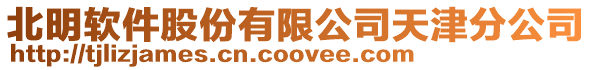 北明軟件股份有限公司天津分公司