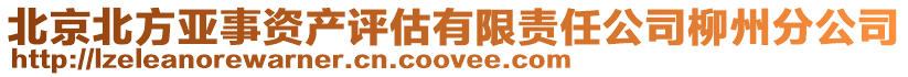 北京北方亞事資產評估有限責任公司柳州分公司