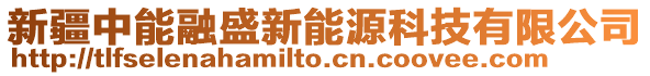 新疆中能融盛新能源科技有限公司
