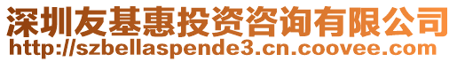深圳友基惠投資咨詢有限公司