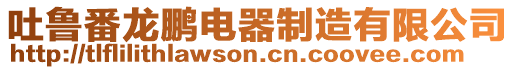 吐魯番龍鵬電器制造有限公司