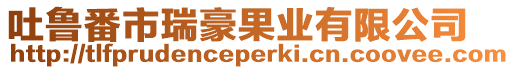 吐魯番市瑞豪果業有限公司