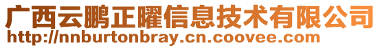 廣西云鵬正曜信息技術有限公司