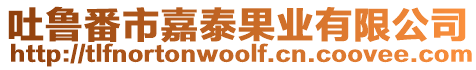 吐魯番市嘉泰果業有限公司