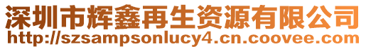 深圳市輝鑫再生資源有限公司