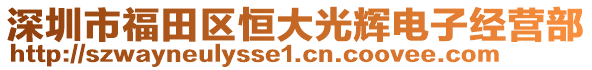 深圳市福田區恒大光輝電子經營部