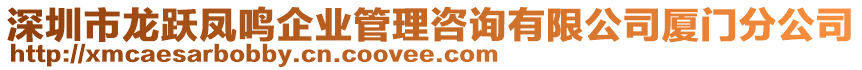 深圳市龍躍鳳鳴企業管理咨詢有限公司廈門分公司