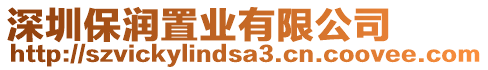 深圳保潤置業有限公司